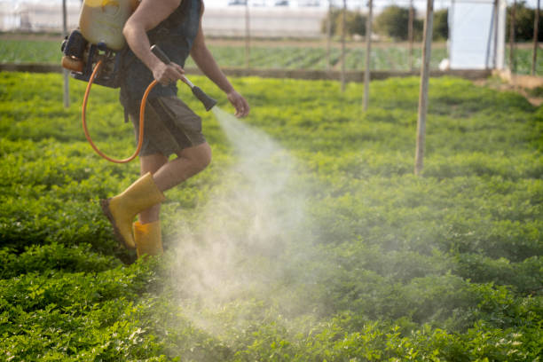 Best Best Pest Control Companies  in Gibraltar, MI