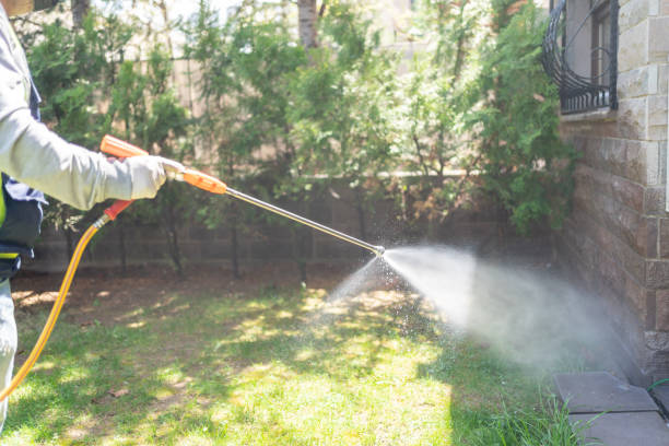 Best Bed Bug Extermination  in Gibraltar, MI