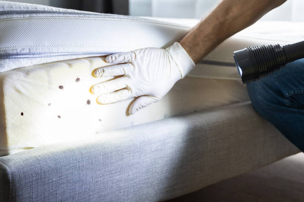 Best Pest Inspection Near Me  in Gibraltar, MI